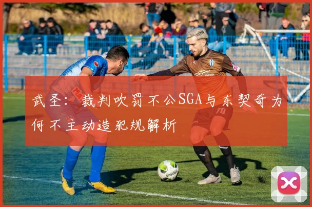 武圣：裁判吹罚不公SGA与东契奇为何不主动造犯规解析