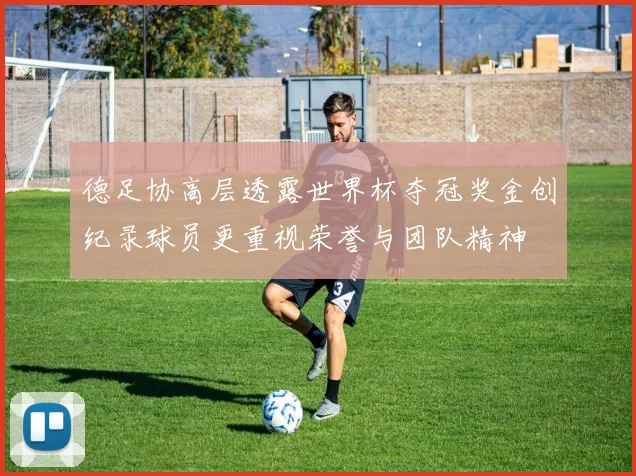 德足协高层透露世界杯夺冠奖金创纪录球员更重视荣誉与团队精神