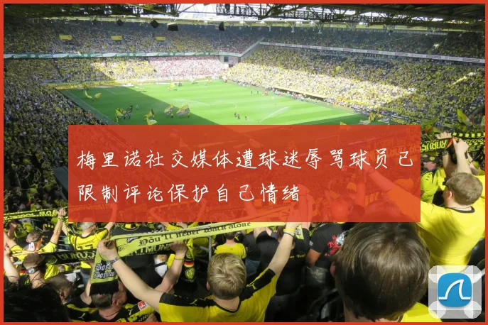 梅里诺社交媒体遭球迷辱骂球员已限制评论保护自己情绪